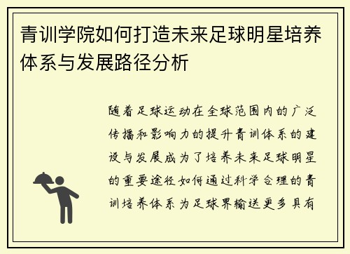 青训学院如何打造未来足球明星培养体系与发展路径分析