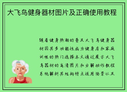 大飞鸟健身器材图片及正确使用教程